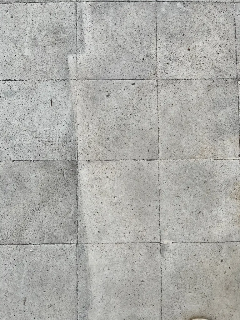 Why Is My Grout Turning Black? What Those Dark Grout Lines Really Mean